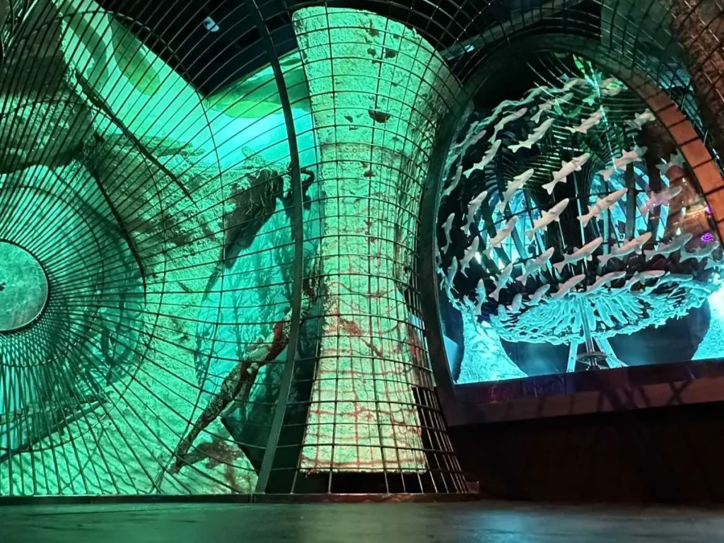 Immersive art installation at FloridaRAMA with glowing green lights, wireframe structures, and white fish sculptures